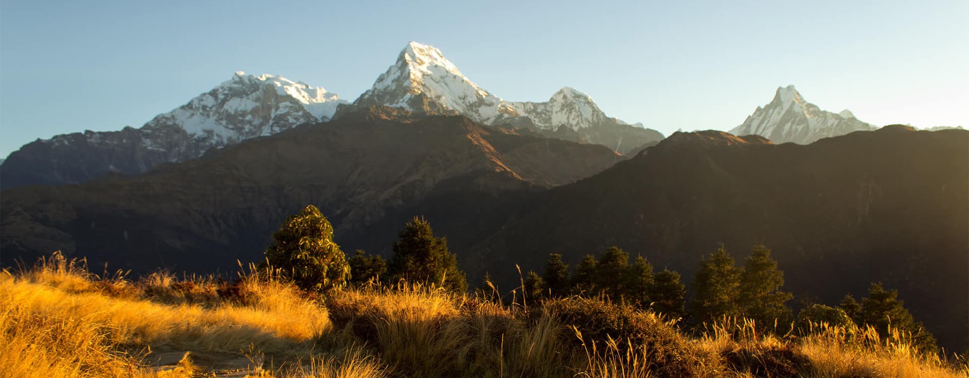 Ghorepani Poon Hill Trek